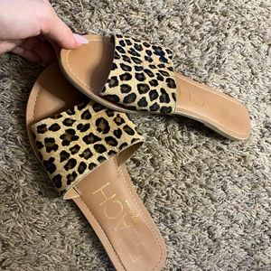 Cheetah Slides